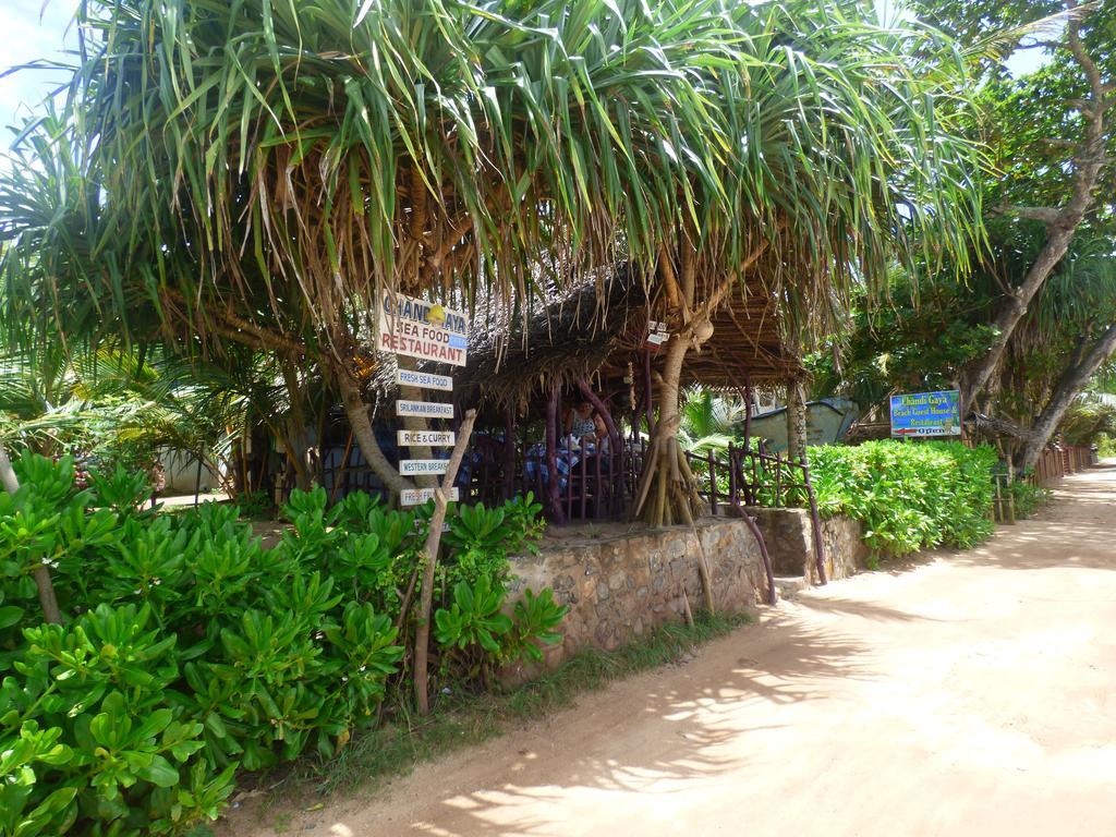 Chandi Gaya Beach Guesthouse แทนกาลเล ภายนอก รูปภาพ